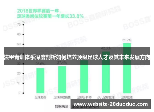 法甲青训体系深度剖析如何培养顶级足球人才及其未来发展方向