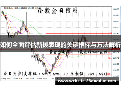 如何全面评估新援表现的关键指标与方法解析