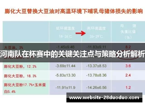 河南队在杯赛中的关键关注点与策略分析解析