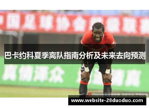 巴卡约科夏季离队指南分析及未来去向预测