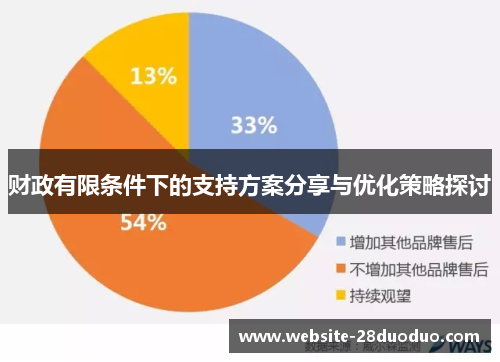 财政有限条件下的支持方案分享与优化策略探讨