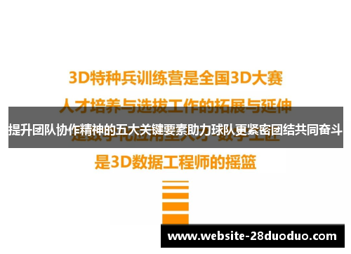 提升团队协作精神的五大关键要素助力球队更紧密团结共同奋斗