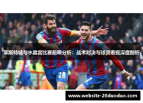 莱斯特城与水晶宫比赛前瞻分析：战术对决与球员表现深度剖析