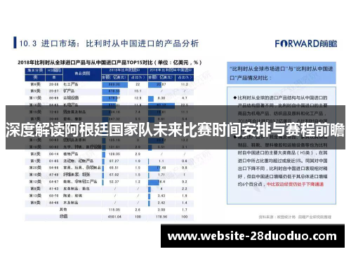 深度解读阿根廷国家队未来比赛时间安排与赛程前瞻